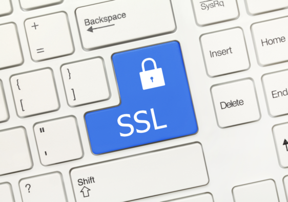 tastiera di un PC con il tasto SSL